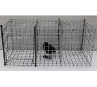 TRAPGALLIER piège Cage Capture Corbeaux, 1 appât 2 captures Fabrication Française