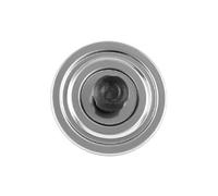 Trappe de visite pour mazout et gaz - simple paroi - Schiedel PRIMA PLUS 100 mm