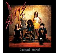 Trapped Animal