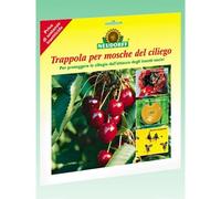 Trappola pour mouches - NEUDORFF - CILIEGIO - 7 pièces - Naturelle - Efficace contre le ver de la cerise
