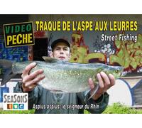 Traques de l'aspe aux leurres : Street fishing Aspius, aspius le seigneur du Rhin