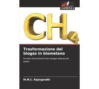 Trasformazione del biogas in biometano: Processo di assorbimento fisico (lavaggio dell'acqua del biogas)