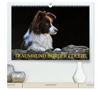 Traumhund Border Collie (hochwertiger Premium Wandkalender 2026 DIN A2 quer), Kunstdruck in Hochglanz: Der Allrounder unter den Hunderassen in 13 bezaubernden Bildern