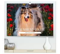 Traumhund Collie - Mein bester Freund (hochwertiger Premium Wandkalender 2026 DIN A2 quer), Kunstdruck in Hochglanz: 13 wundervolle Fotos der ... Collies begleiten und durch das Jahr
