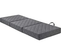 Traumnacht Matelas rêve Guest nuit le luxe avec Matelas Visco de Haute qualité et Matelas sans Housse, 75 x 195 cm, Gris Clair