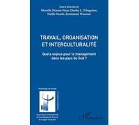 Travail, organisation et interculturalité Quels enjeux pour le management dans les pays du Sud ? - Murielle Ntsame Sima - L'harmattan - broché - Essai