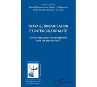 Travail, organisation et interculturalité: Quels enjeux pour le management dans les pays du Sud ?