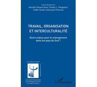 Travail, organisation et interculturalité Quels enjeux pour le management dans les pays du Sud ? - Murielle Ntsame Sima - L'harmattan - broché - Essai