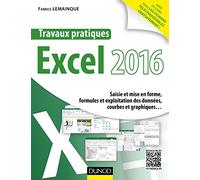 Travaux pratiques avec Excel 2016 - Saisie et mise en forme, formules et exploitation des données...: Saisie et mise en forme, formules et exploitation des données, courbes et graphiques...
