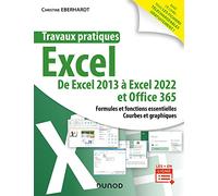 Travaux pratiques - Excel: De Excel 2013 à Excel 2022 et Office 365