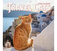 Travel Cats Wall Calendar 2026