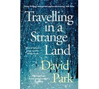 Travelling in a Strange Land: Winner of the Kerry Group Irish Novel of the Year