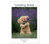 Travelling Teddy liebt es Bunt (Wandkalender 2026 DIN A4 hoch), CALVENDO Monatskalender: Diese Sammlung von hochqualitativen Bildern zeigt John James, den Travelling Teddy, auf seinen Reisen.