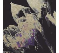 Traversée 04 - Moving Silhouettes