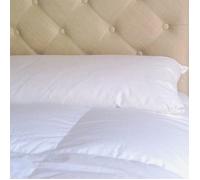 Traversin naturel plumes plat 160 cm