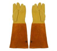 Trayneel Gants de jardinage en cuir de vachette résistants aux épines - Longueur coude - Manchette longue - Protection de l'avant-bras - Pour l'aménagement paysager, le désherbage et le travail en