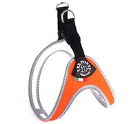 Tre Ponti Easy Fit Fix Neon Harnais pour Chien Orange
