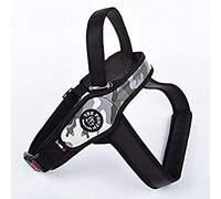 Tre Ponti Pett. Grand Chien avec Bordure Dorsale Cannete Camo America Taille XXL