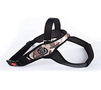 Tre Ponti Pett. Grand Chien avec Bordure Dorsale Cannete Camouflage Désert Taille XL