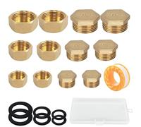 TREABEAR 12 Pièces Bouchon Radiateur, Bouchon Laiton Male+Bouchon Laiton Femelle Set，Bouchon Plomberie Femelle 12/17 15/21 20/27, Bouchon Laiton, Accessoires de Plomberie Avec Boîte de Rangement