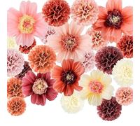 TREABEAR 24 Pièces Papier de Soie Rose Decoration Bapteme Fille, Decoration Mariage Champetre Fleurs Papier, Papier Crepon Pompons Mariage Decoration, Papier De Soie Rose Déco Anniversaire