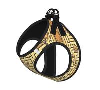 Treasure Maze Ensemble harnais et laisse doux pour animal de compagnie, harnais en maille réglable pour chiens et chats de petite, moyenne et grande taille