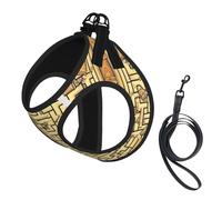 Treasure Maze Ensemble harnais et laisse doux pour animal de compagnie, harnais en maille réglable pour chiots et chats de petite, petite et grande taille