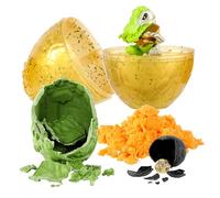 TREASURE X Mini œuf Dino Gold PK