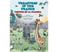 Treasures in the Prairie by Sylvia G Ulmer Sylvia G Ulmer (Auteur)