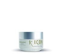 TREATMENT MASK Masque de traitement capillaire biologique