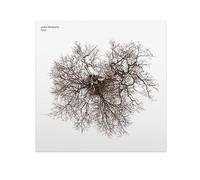 Realworld – Arbre Tree