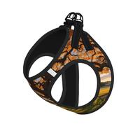 Tree At Golden Sunset Ensemble harnais et laisse réfléchissant réglable pour chats, chiens et petits animaux de compagnie, gilet de marche en maille douce et respirante avec laisse anti-fuite