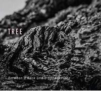 Tree - Between a Rock and a Hard Place [Import]