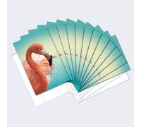 Tree-Free Greetings EcoNotes Lot de 12 cartes de vœux avec enveloppes Motif flamant rose déco avec inscription en anglais FS56228)
