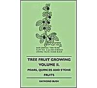 Tree Fruit Growing - Volume Ii. - Pears, Quinces And Stone Fruits