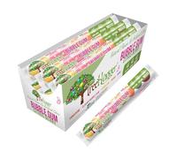 Tree Hugger Lot de 12 gommes à bulles naturelles Citrus Berry