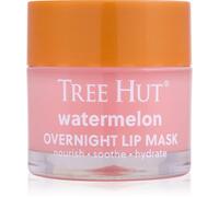 Tree Hut Watermelon Lip Mask masque de nuit lèvres 17 g