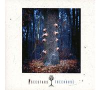 Treehouse