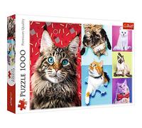Trefl 1000 el. WesoĹe koty [Puzzle]
