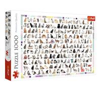 Trefl, 10498 Puzzle, 208 Katzen, 1000 Teile, für Kinder AB 12 Jahren