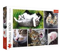Trefl – Puzzle 26145 Katzensachen – 1500 pièces – Collage – Pour enfants dès 12 ans