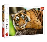 Trefl 500 el. Portret tygrysa [Puzzle]