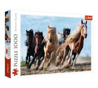 Trefl 916 10446 Die gallopierenden Pferde EA 1000 Teile, Premium Quality, für Erwachsene und Kinder AB 12 Jahren 1000pcs Horses, Coloured, Chevaux au Galop
