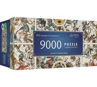 Trefl Cartes du ciel anciennes - Pièces