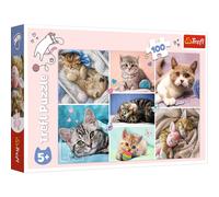 Trefl in the Cat World 100 Piece Puzzle Puzzle Red 16 """" X11 """" Imprimer Puzzle Creative Fun Classic Puzzle pour les adultes et les enfants de 5