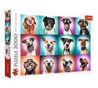 Trefl partir 2000 Pièces Qualité Premium pour Adultes et Enfants de Plus de 12 Ans Puzzle, TR27119, Portraits Amusants des Chiens II