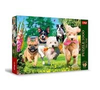 Puzzle 1000 Pièce Chien Animaux de Compagnie Here Comes Trouble Dogs Heure Du