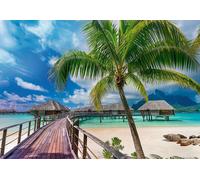 Trefl Prime Puzzle - Paradise Beach - Bora-Bora - 1000 Pièces