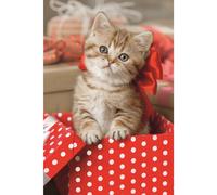 TREFL Puzzle Animaux mignons : chaton 54 pièces