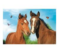 TREFL Puzzle Animaux mignons : couple de chevaux 54 pièces